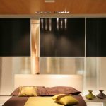 Two Color Frosted Glass Sliding Closet Doors for Modern Bedroom