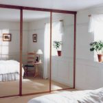 Mirrored Sliding Closet Doors